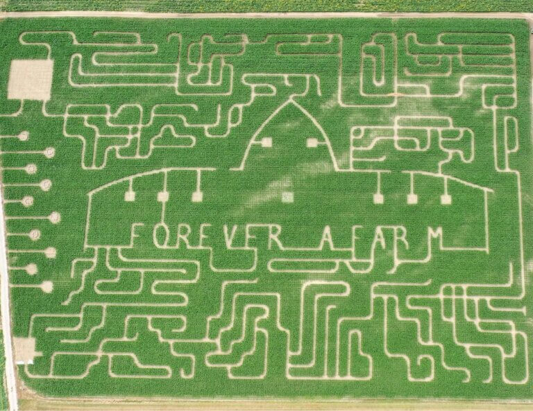 Corn Maze - Bob's Corn &amp; Pumpkin Farm