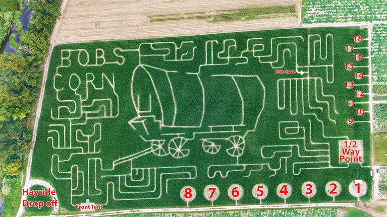 Corn Maze - Bob's Corn