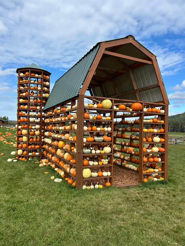 Pumpkin display at Bob's Corn and Pumpkin Farm